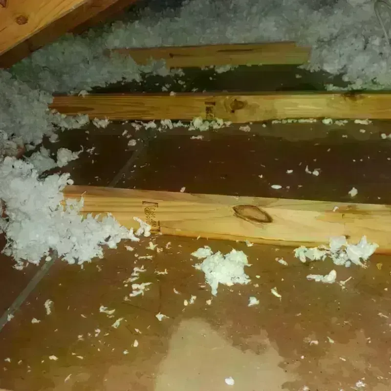 Attic Water Damage in Fayetteville, TN