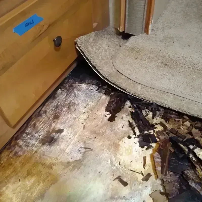 Wood Floor Water Damage in Fayetteville, TN